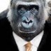 Mike Oppelt (@oppeltm) Twitter profile photo