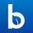 Blueleaf Advisor