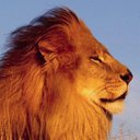 Debra Stabler - @Howdebbe - Twitter