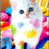 بنت الاصول (@bintasool) 's Twitter Profile