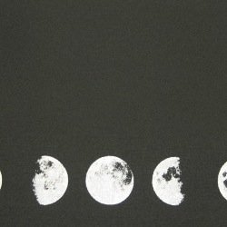 jade_daven's profile picture. 