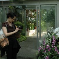 井上未雪 Miyuki Inoue🍋 (@myuinoue) 's Twitter Profile