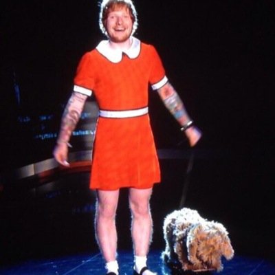 You're not Ed Sheeran, you can't do that! Fucked/5 1/4 (love you asian) Ran into harry, niall & lux on 7-12-13