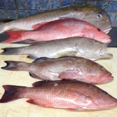 Seafood so fresh you think you caught it yourself. - Prime Meats - Smoked Salmon - Fish Spreads - Many Specialty Items Everyting made fresh In House