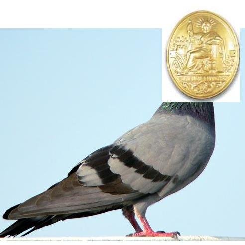 Le gouvernement prendrait-il les Notaires pour des pigeons ?