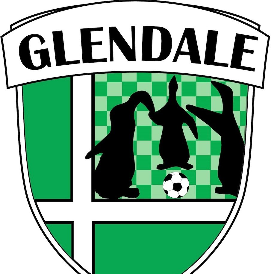 Recreational youth soccer program