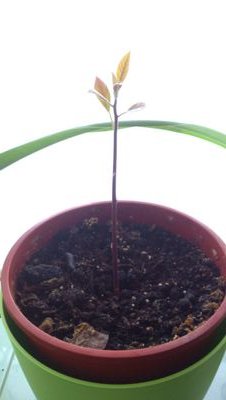 digitalfreak101's profile picture. 