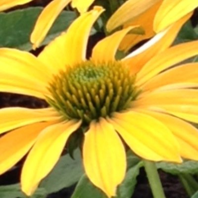 jacquel44539478's profile picture. 