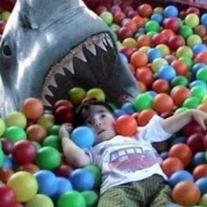 ConvoBallPit's profile picture. 