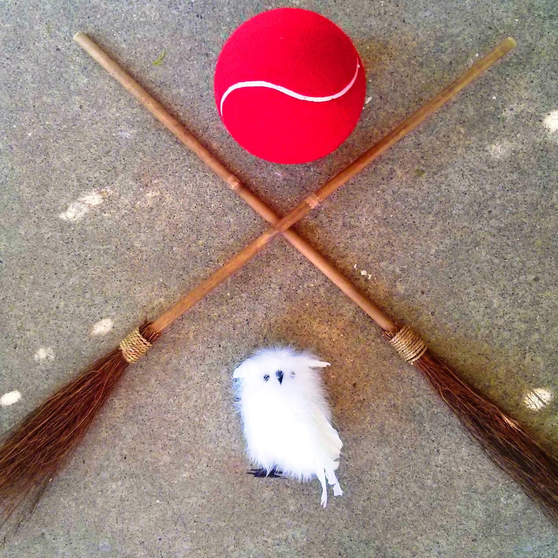 Newly established Windsor Quidditch League in Windsor, Ontario.