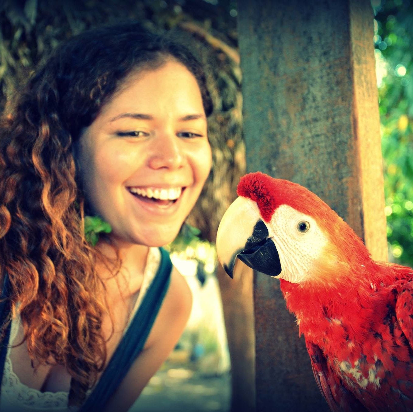 Doutoranda em linguística pela UFRJ, interessada em culturas indígenas, linguística, viagens, ecologia e astrologia.