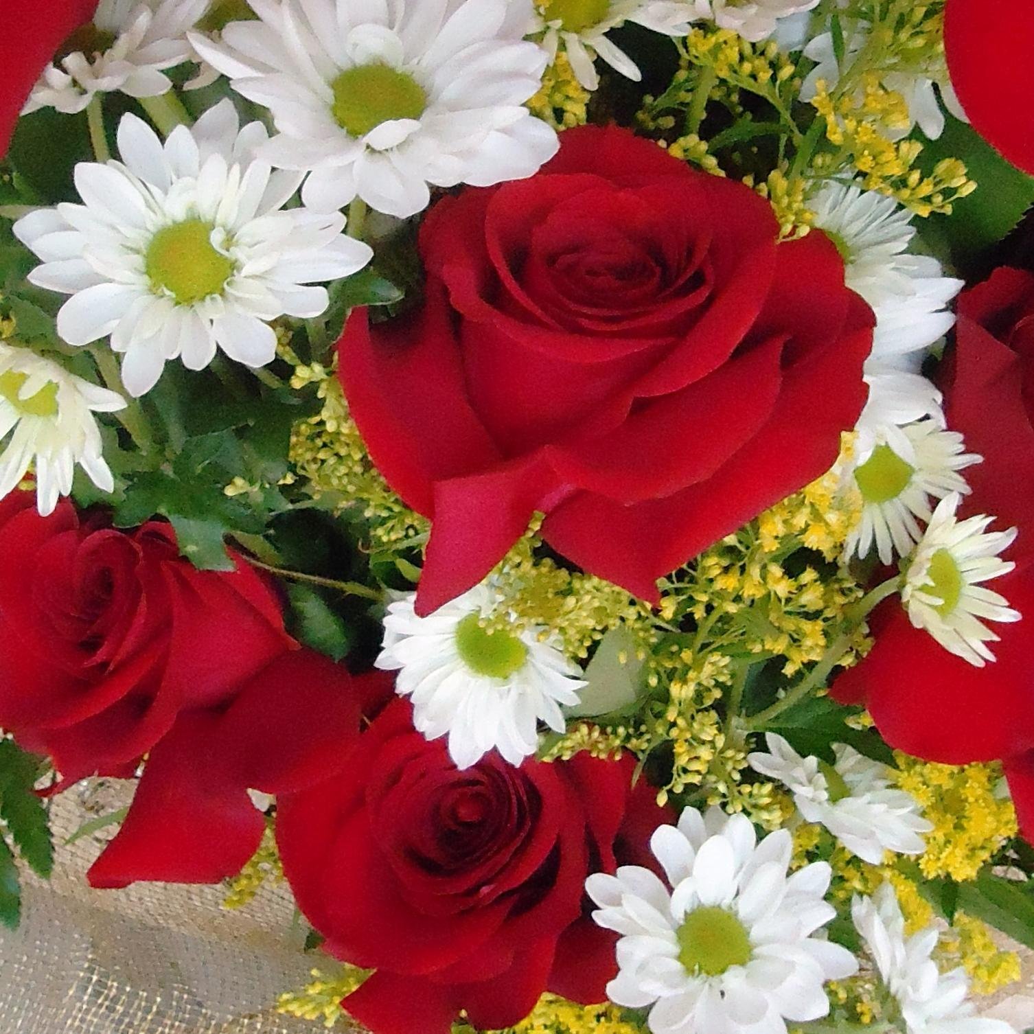 _BUQUEDEFLORES's profile picture. FLORICULTURA