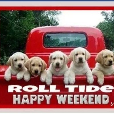 But seek first the kingdom of God and His righteousness, and all these things shall be added to you. (Matthew 6:33 NKJV) Roll Tide Roll!