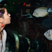 Marcella (@marcella_barron) 's Twitter Profile