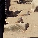 Aidan pierce - @aidanp58 - Twitter