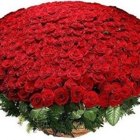 #ВЗАИМНЫЙФОЛЛОВИНГ #follow #followback #rufollow #rufollowme #rufollowback #ВЗАИМНОЧИТАЮ #ответныйфолловинг #читаю