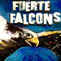Fuerte Falcons PTA (@ffalconspta) Twitter profile photo