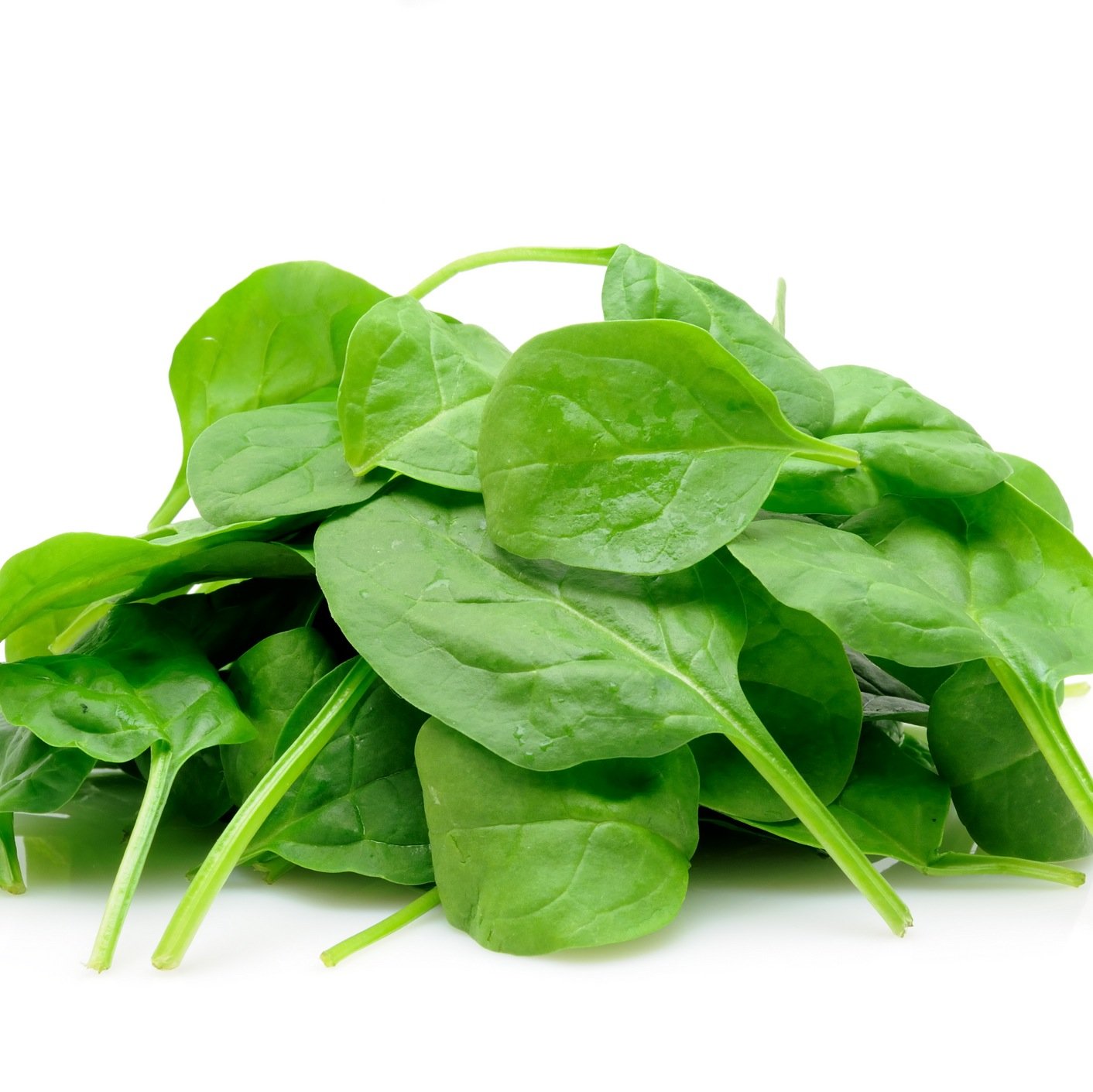 If spinach what you need to know then just read its twets (• ◡•) cabbabe is the one for a spinach like me