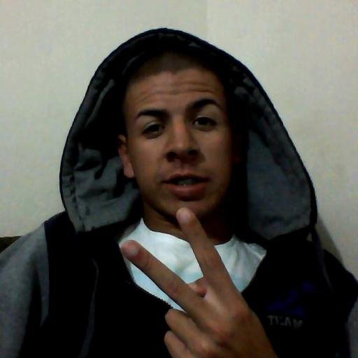 Hoc non pereo habebo fortior me