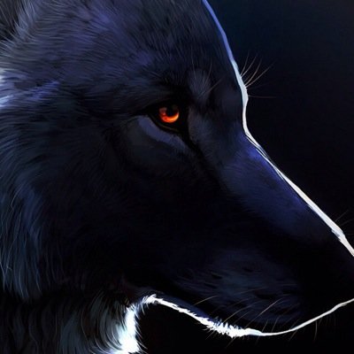 TheYeahbuddy11's profile picture. 