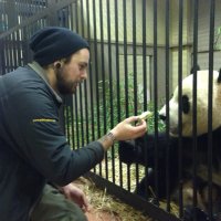 Simon Robinson (@bigsirobbo) 's Twitter Profile
