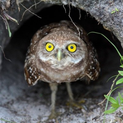 rjmacha's profile picture. 