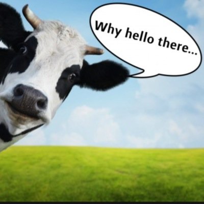 cows cows cows cows cows cows cows cows