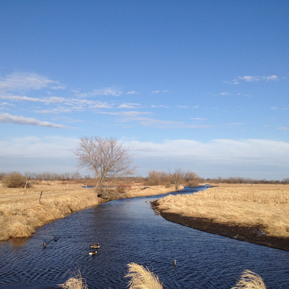 FourLakesHappy's profile picture. 