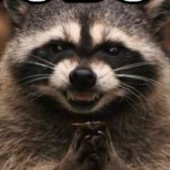 ActualBoobs's profile picture. ??? im boob??