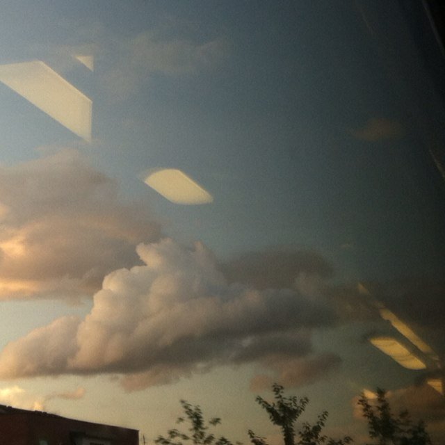 plant43's profile picture. Private account. For news and updates on Plant43 please follow @plant43_ Thanks