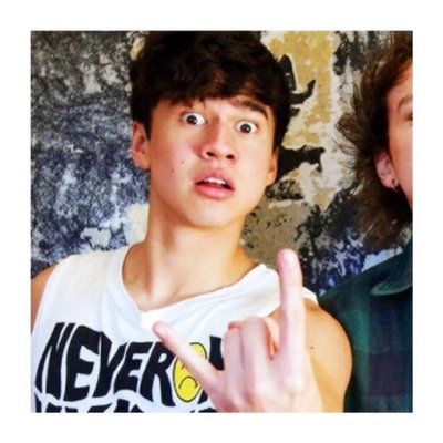follow @cuddlemeehemmo and tweet her a picture of luke hemmings for a follow back