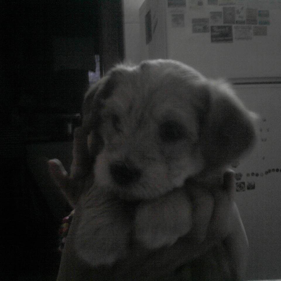 micaela20031's profile picture. 