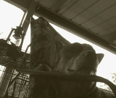 kevswx80's profile picture. 