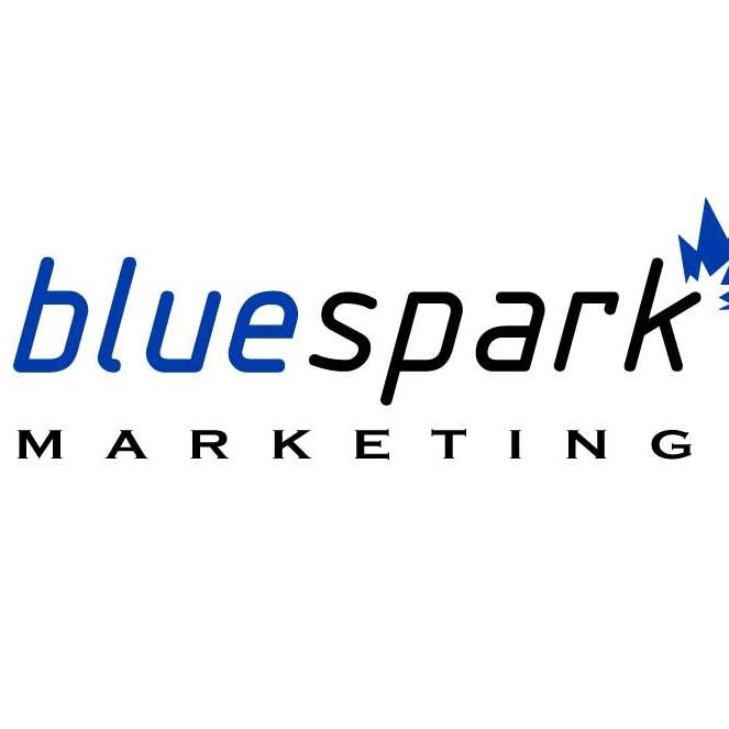 Full Service Creative Agency. Web Design, Development, & Hosting Experts. Small Business Enthusiasts. Blue Spark Marketing Ignite Your Business