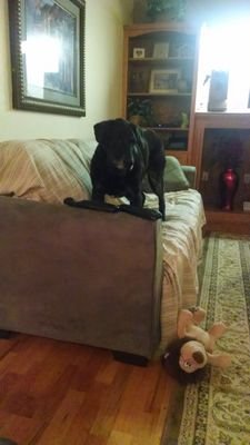 rick_thibert's profile picture. 