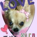 (*゚▽゚*moca_m) (@00_aym) Twitter