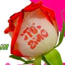 Erik Miranda - @Florestatuadas - Twitter