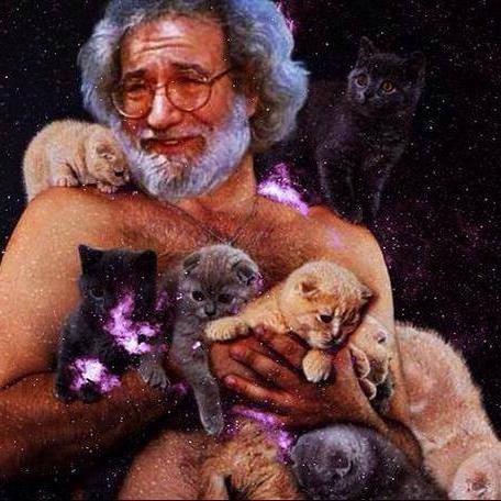 HackedDigit's profile picture. 