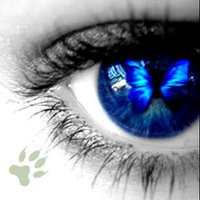 Nikki (@byflutterby) 's Twitter Profile