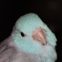 Jill Lytle - @JillLytle1 - Twitter