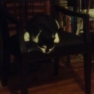 catherinevelis8's profile picture. Avid reader. Consumer of culture. INFJ.