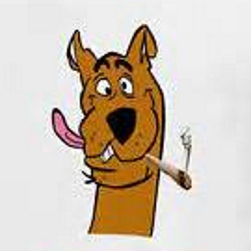 A group of friends and their dog travel in a van solving strange & hilarious mysteries. #munchies #Washington #legalize #I502 #Colorado #maryjane #Friday