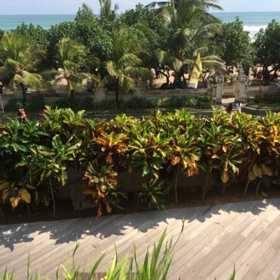 جاد وكاش من الرياض عمري ٣٣ سهرات واعمل مساج وجنس باحترافيه العلاقة سرية للغاية
kik:zoroglevaz
للتواصل