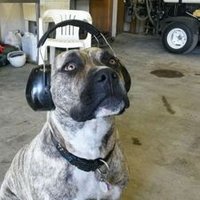 Tristan Tuplin (@secheltsuper) 's Twitter Profile Photo Tristan Tuplin (@secheltsuper) 's Twitter Profile Photo