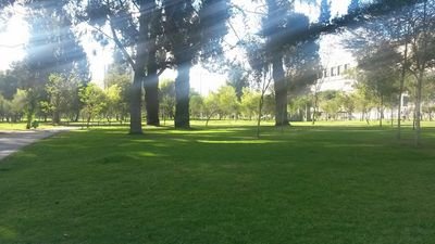 NilmarCandanga's profile picture. 