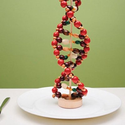 ScXen's profile picture. Nutrition Science es un equipo en linea de Nutricion y Dietetica enfocado a la resolución de  Obesidad y Diabetes, basandonos en investigacion cientifica