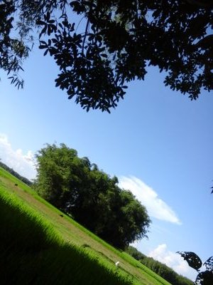 eb3fffd2fe094dc's profile picture. 