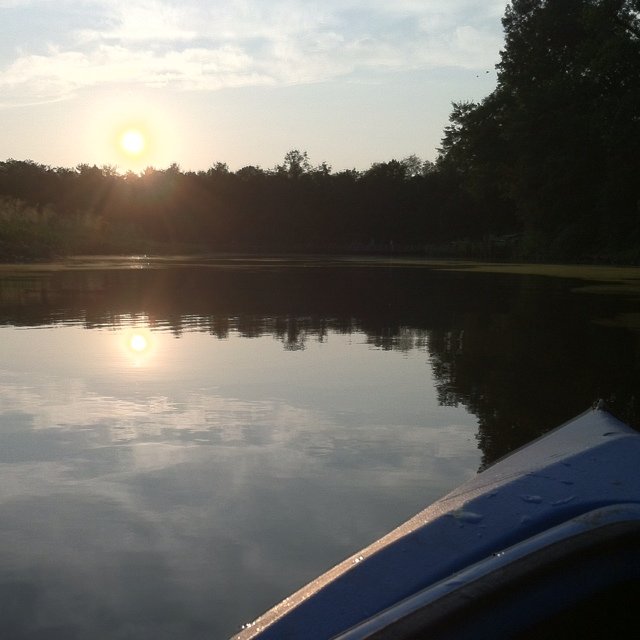 Surbjee's profile picture. 