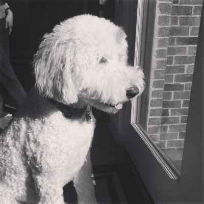 Gabicupcake18's profile picture. 