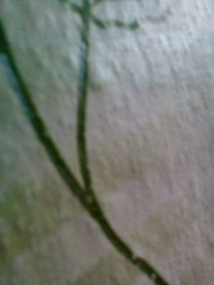 semyon_normal's profile picture. 